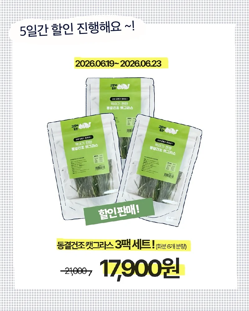 액체타일 바닥 시공 8