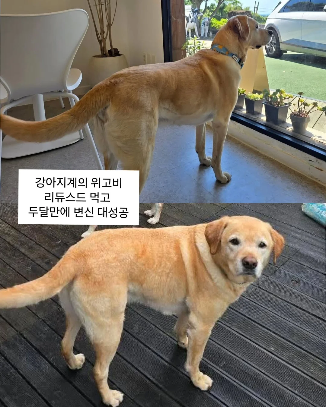아마존 아쿠아파크 당진 입장권 및 카바나 1