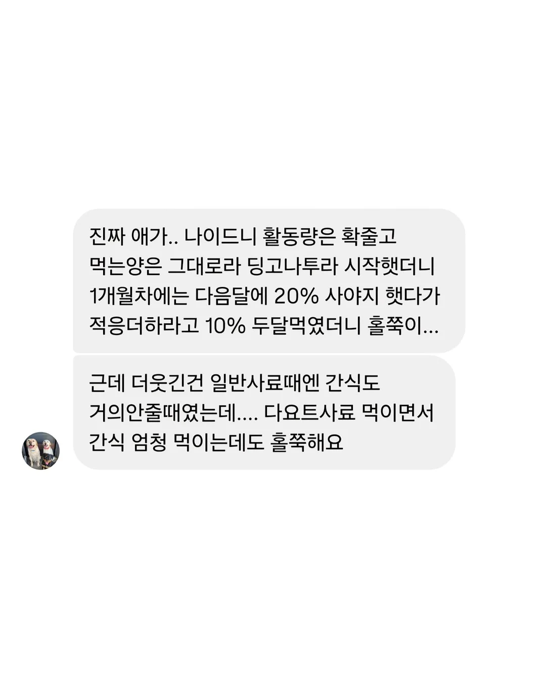 아마존 아쿠아파크 당진 입장권 및 카바나 2