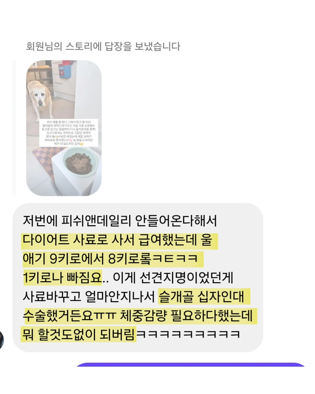 아마존 아쿠아파크 당진 입장권 및 카바나 4