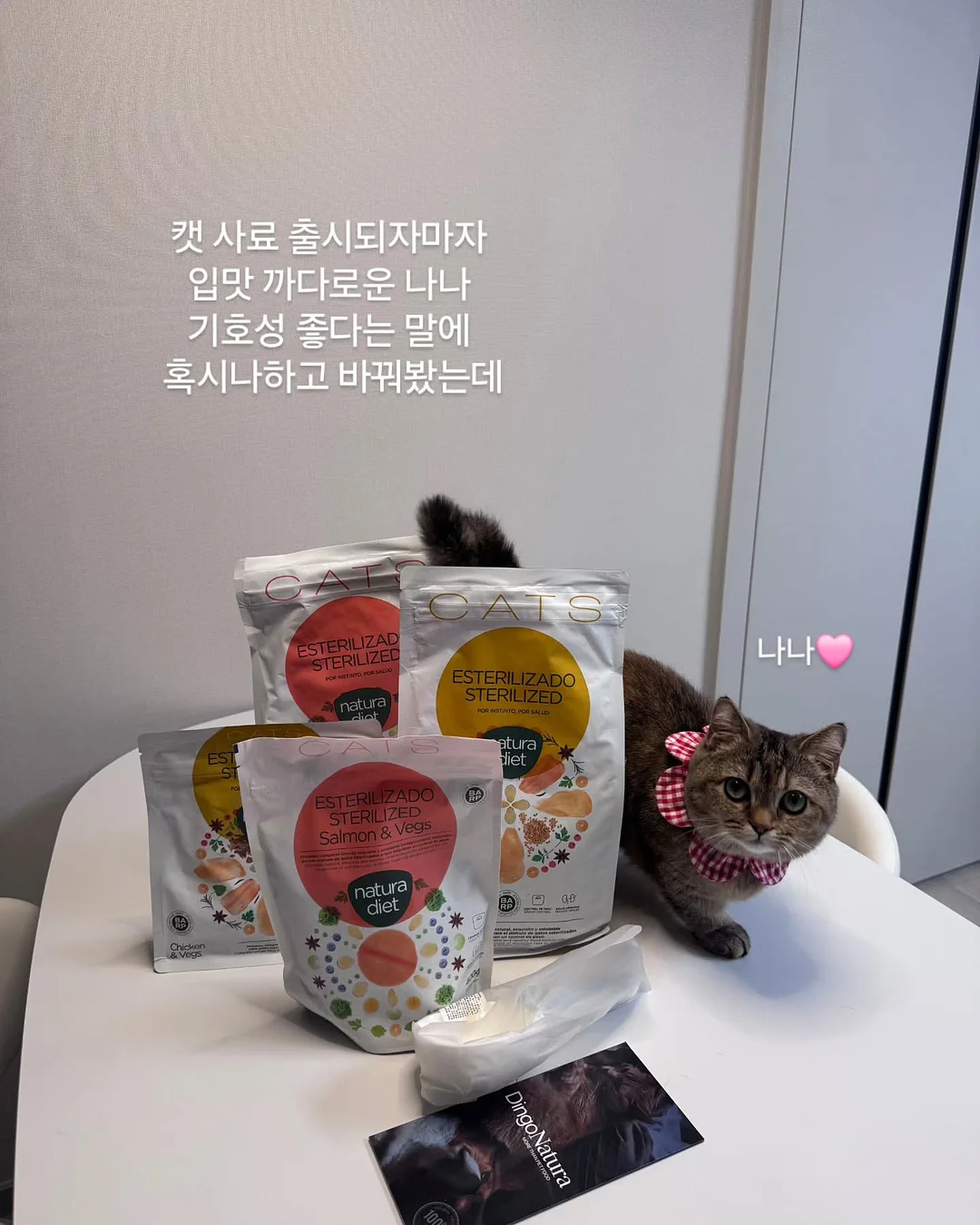 아마존 아쿠아파크 당진 입장권 및 카바나 5