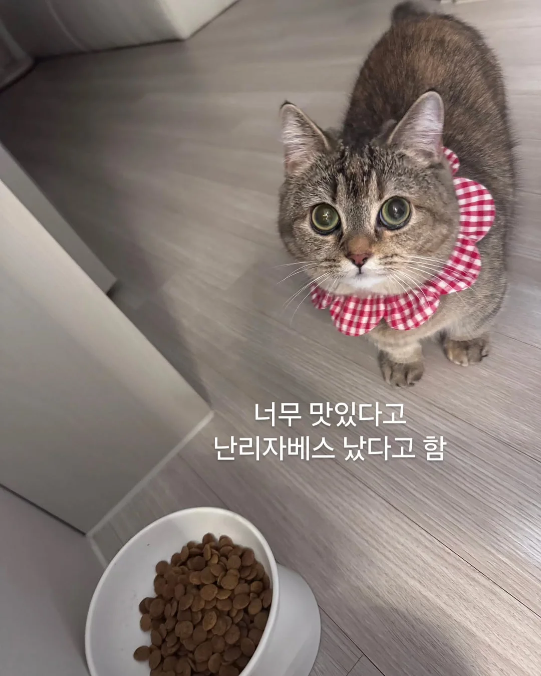 아마존 아쿠아파크 당진 입장권 및 카바나 6