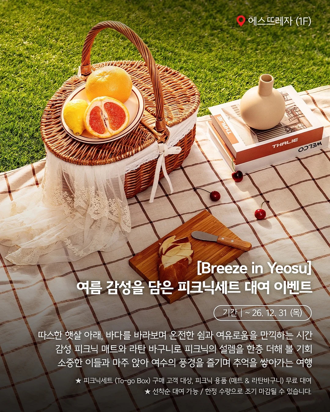그립톡 5