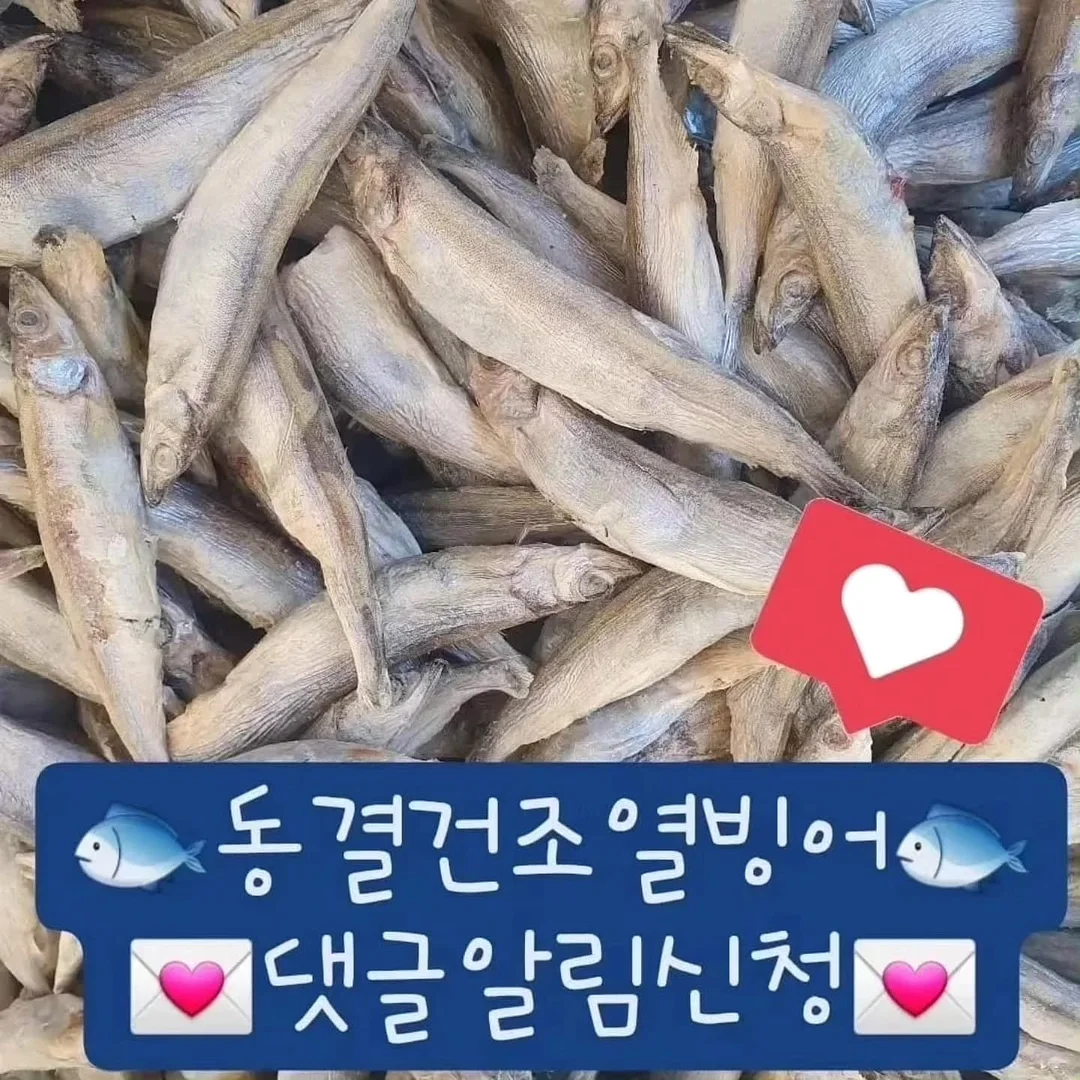 바디 괄사 세럼