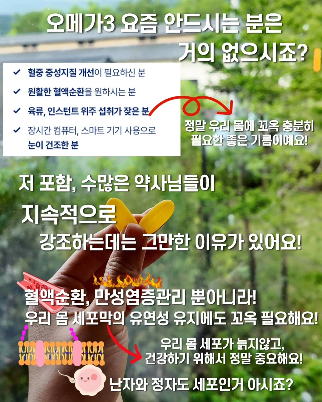 뒷포켓자수 6부 데님 팬츠 2