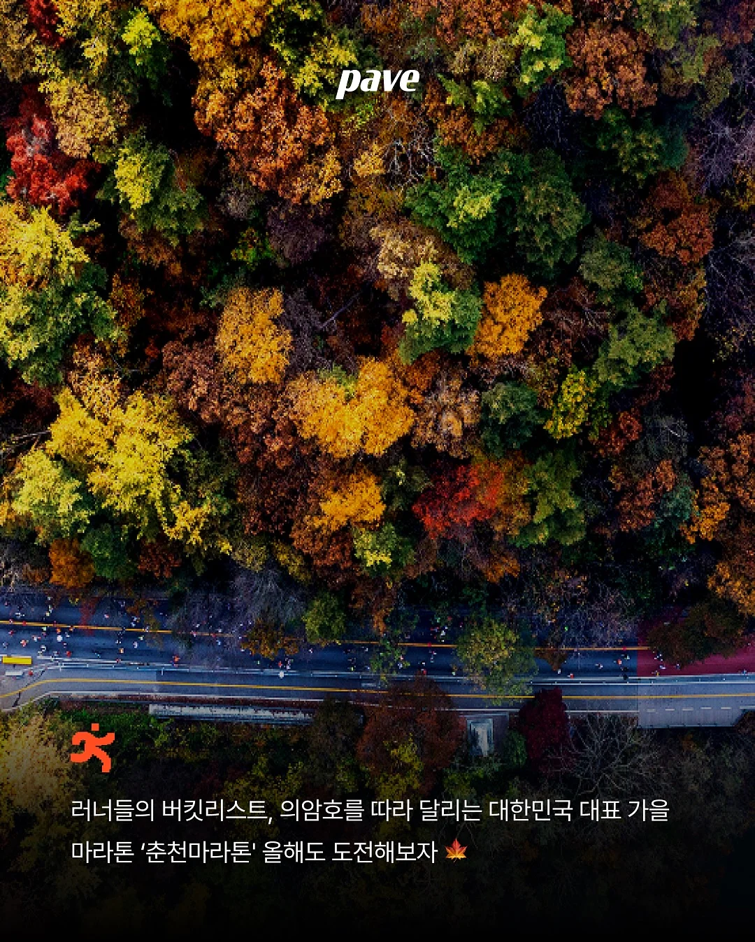 오늘좋은 숨결통식빵 5