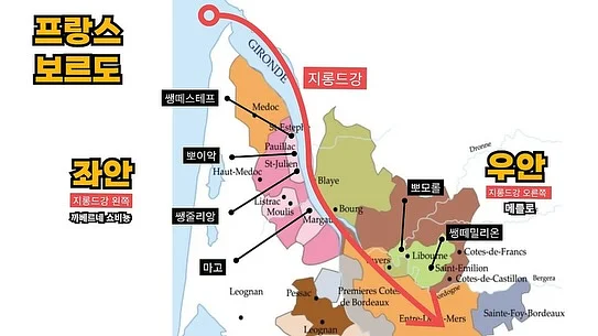 카네이션 만들기 키트 3