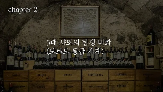 카네이션 만들기 키트 4