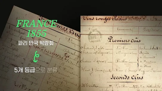 카네이션 만들기 키트 5