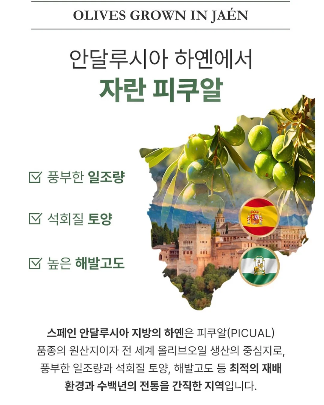 화려한 케이크 5