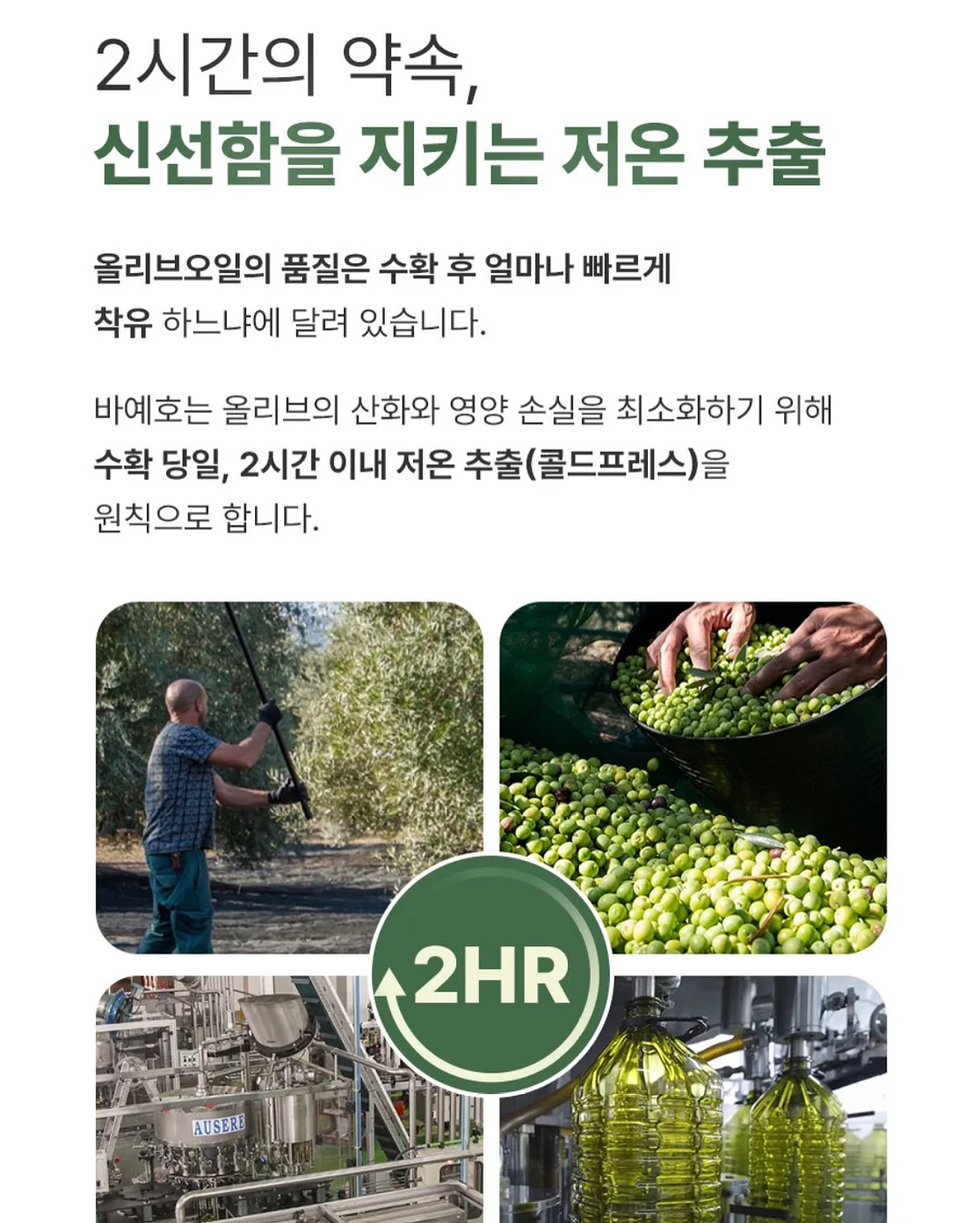 화려한 케이크 6