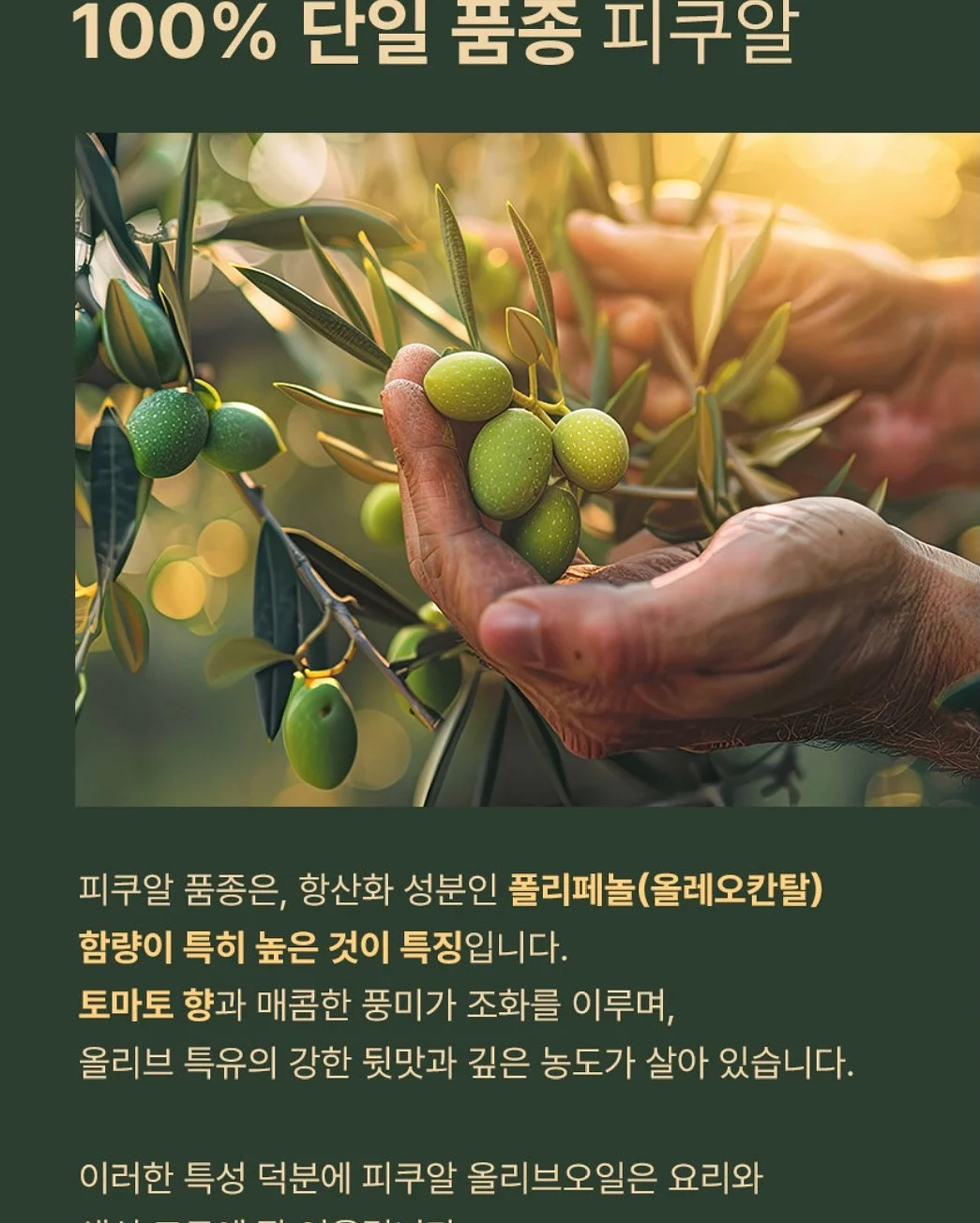 화려한 케이크 8