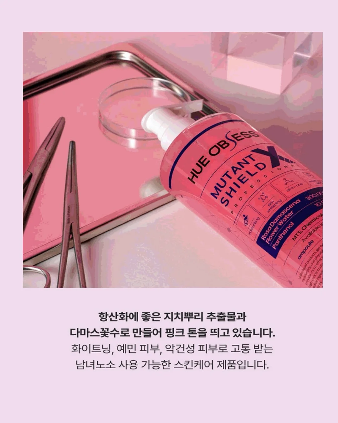 야시장 라이브 방송 14