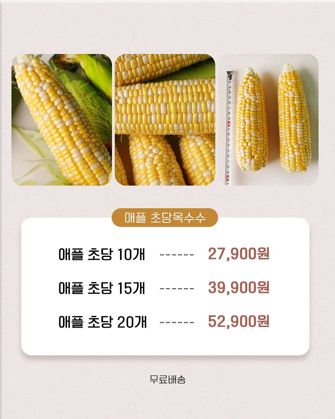 바닥 세제 1