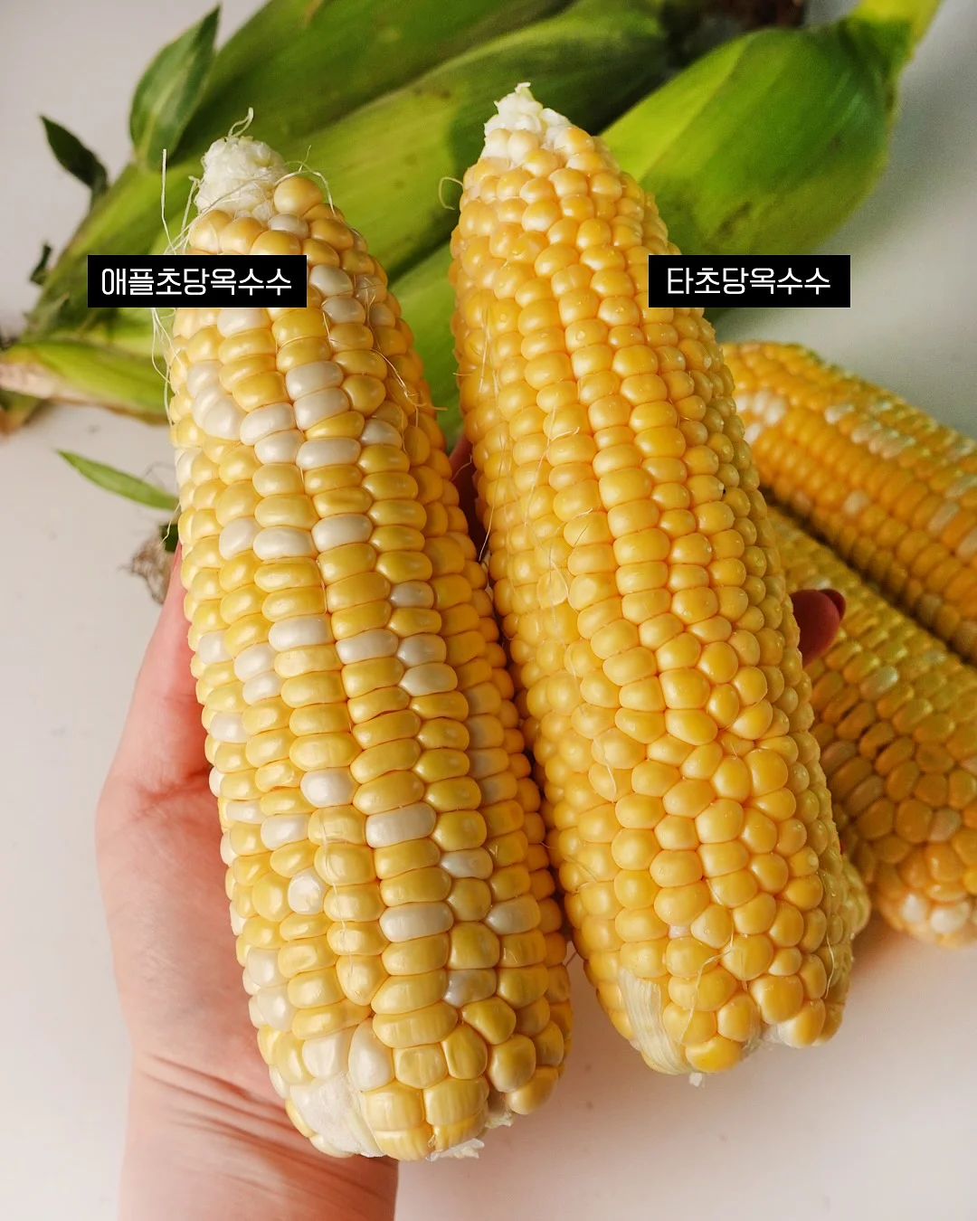 바닥 세제 2