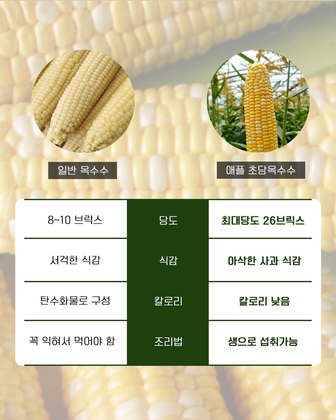 바닥 세제 3