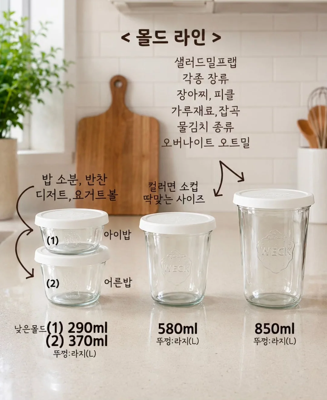 코니코 마이리틀 다이노 공룡매트 2