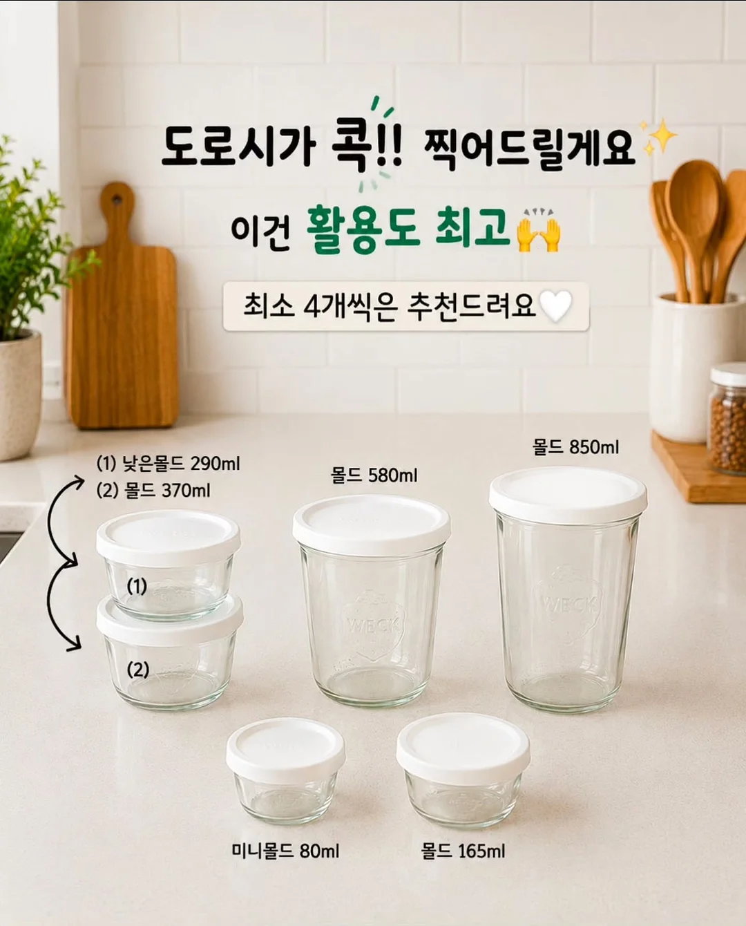 코니코 마이리틀 다이노 공룡매트 6
