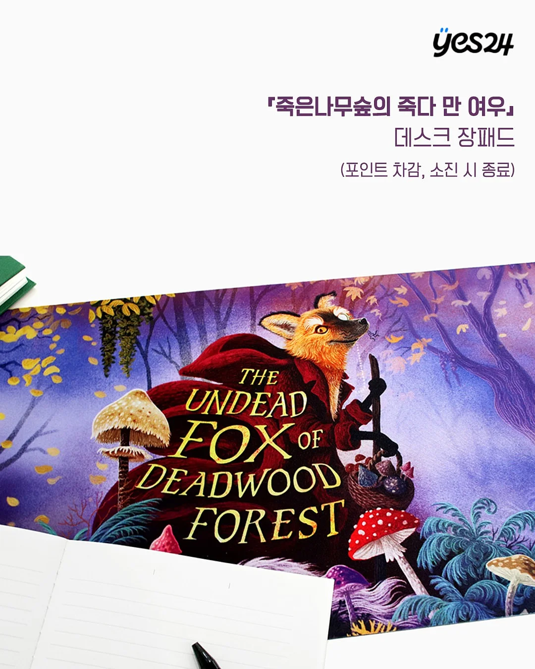 베어리스타 콜드컵 2