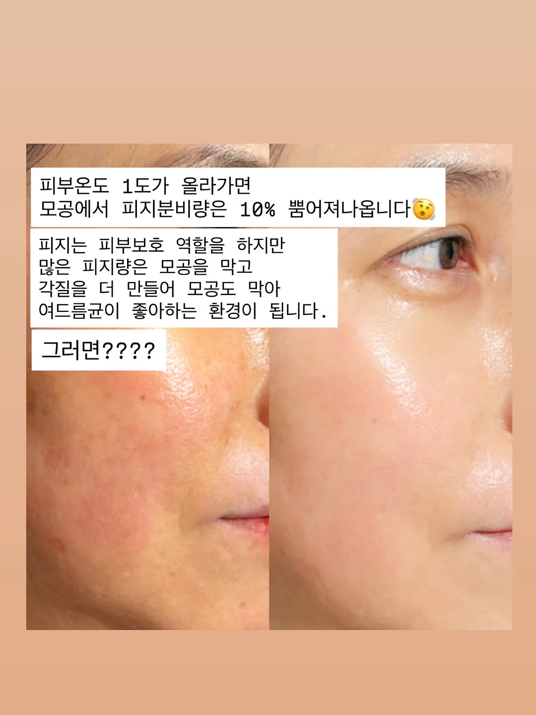롤렉스·명품시계 4