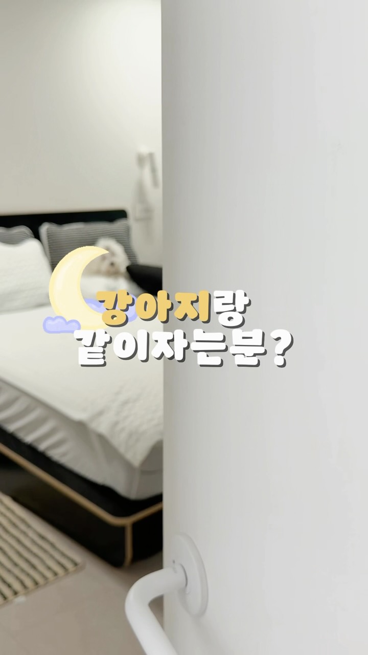KPIA 조향사 자격증 8주 과정