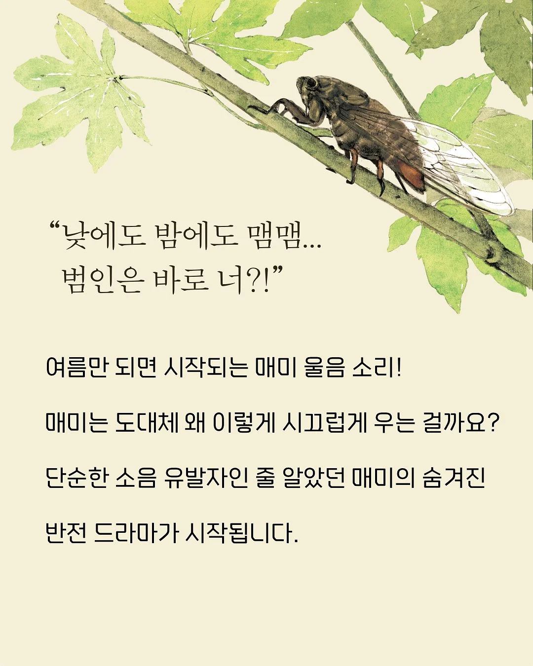 엘린카라슈트 2