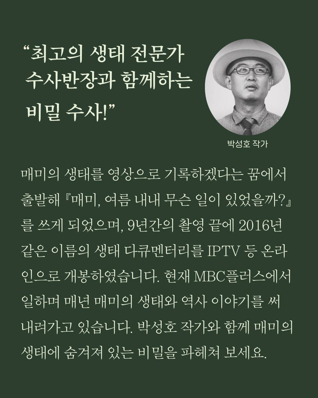 엘린카라슈트 3