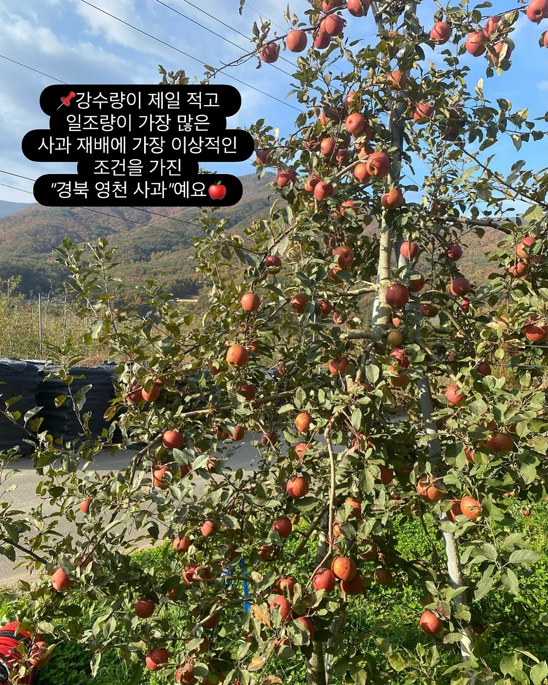 ite 오픈 이벤트 시네마틱 드론 영상 촬영 7