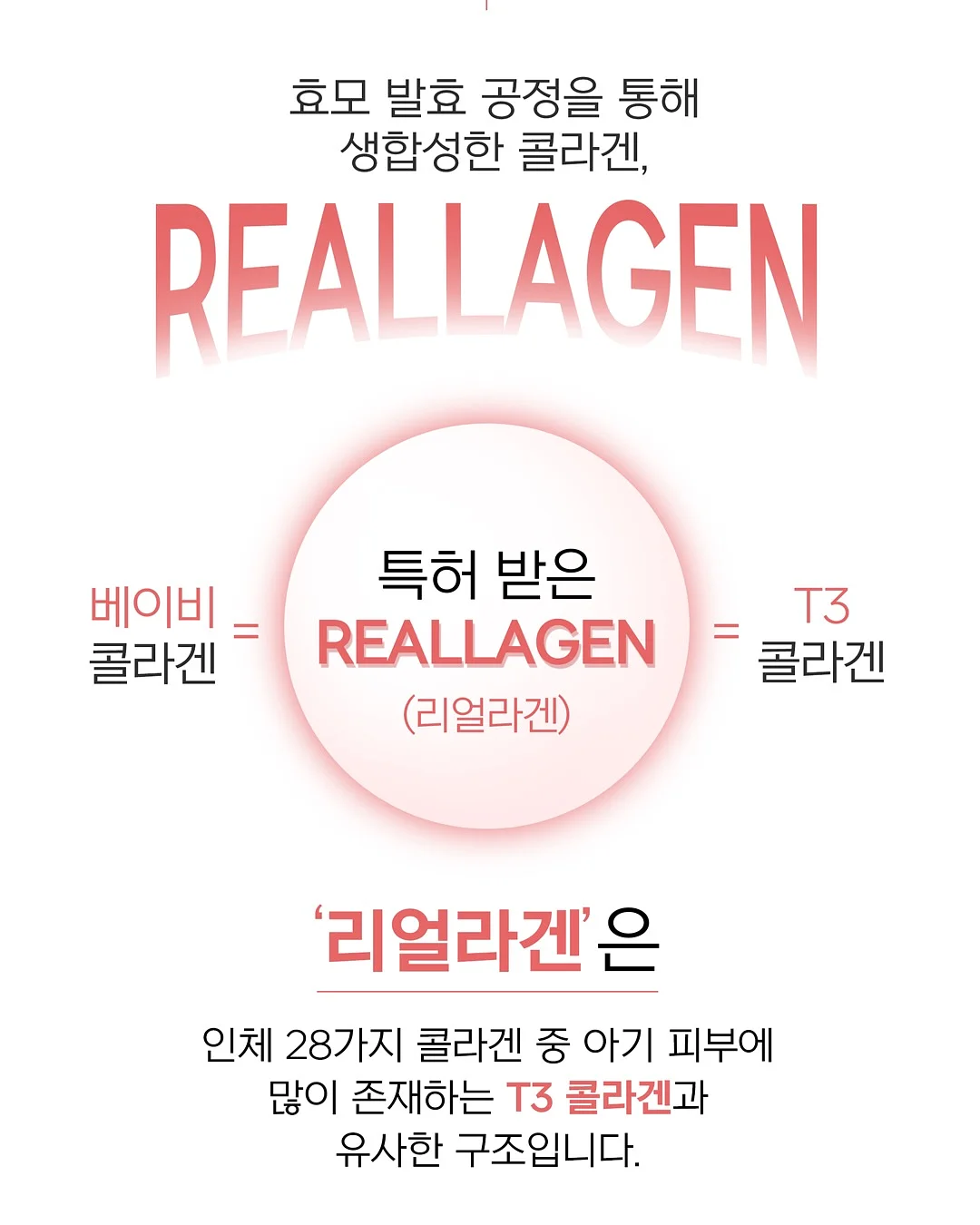 허리케인 1구 베이직 머신 8