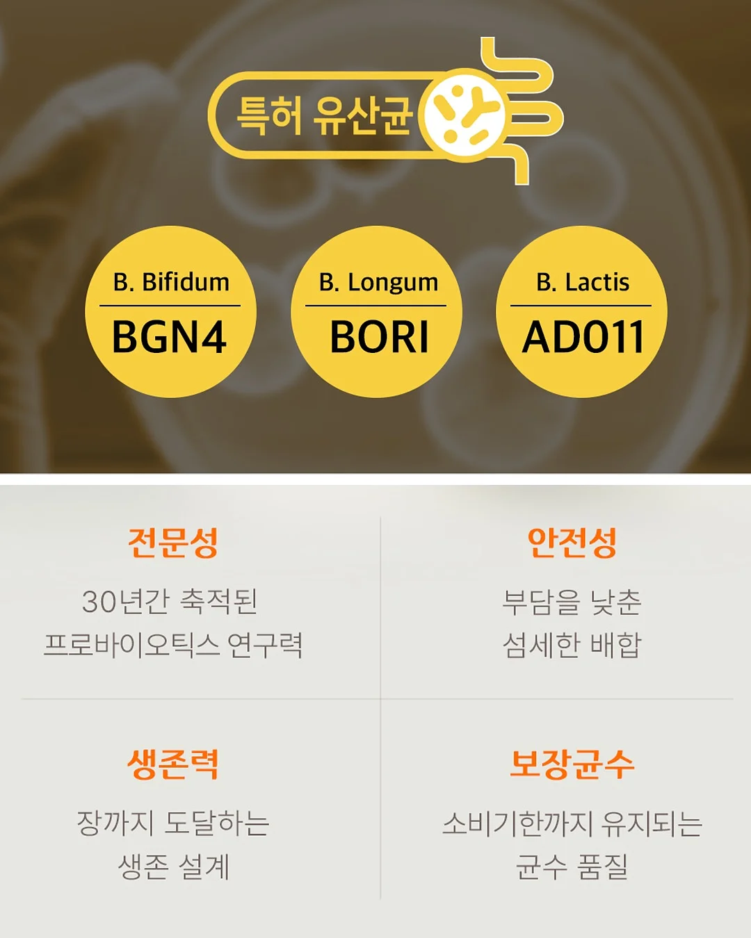 캠프라이트 다용도 미니웨건 11