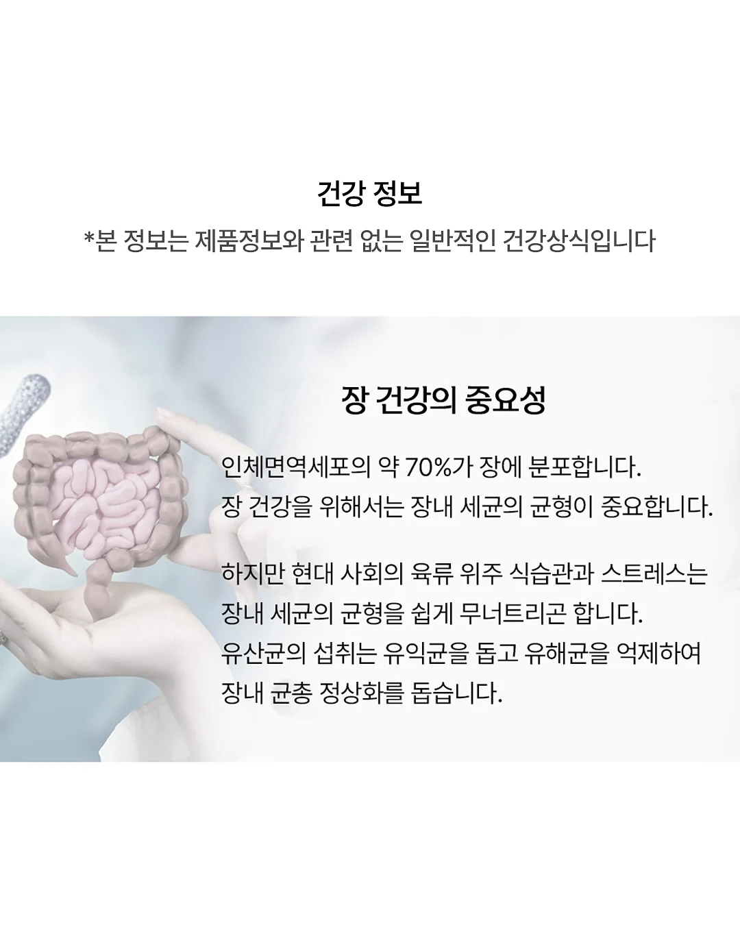 캠프라이트 다용도 미니웨건 8