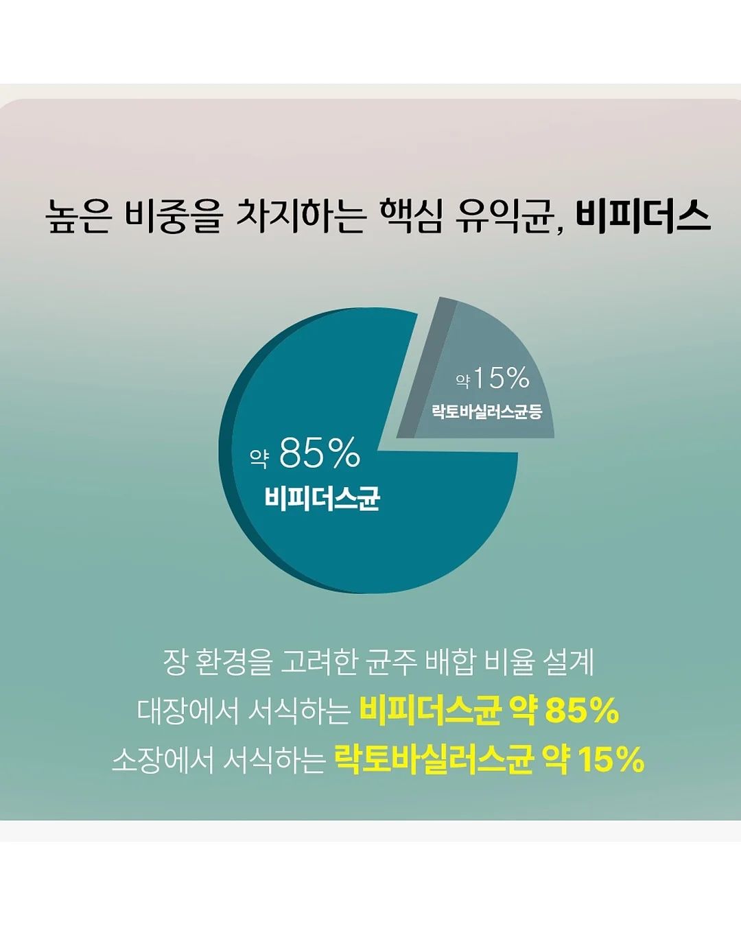 캠프라이트 다용도 미니웨건 10