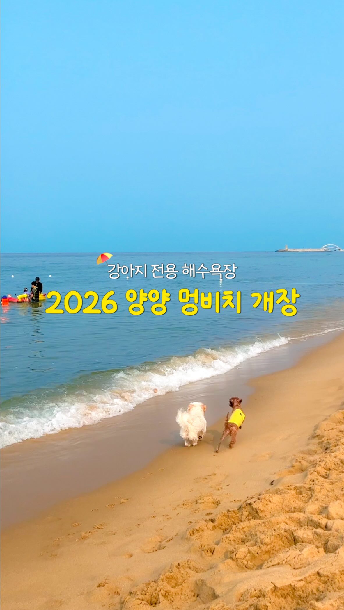 폰케이스