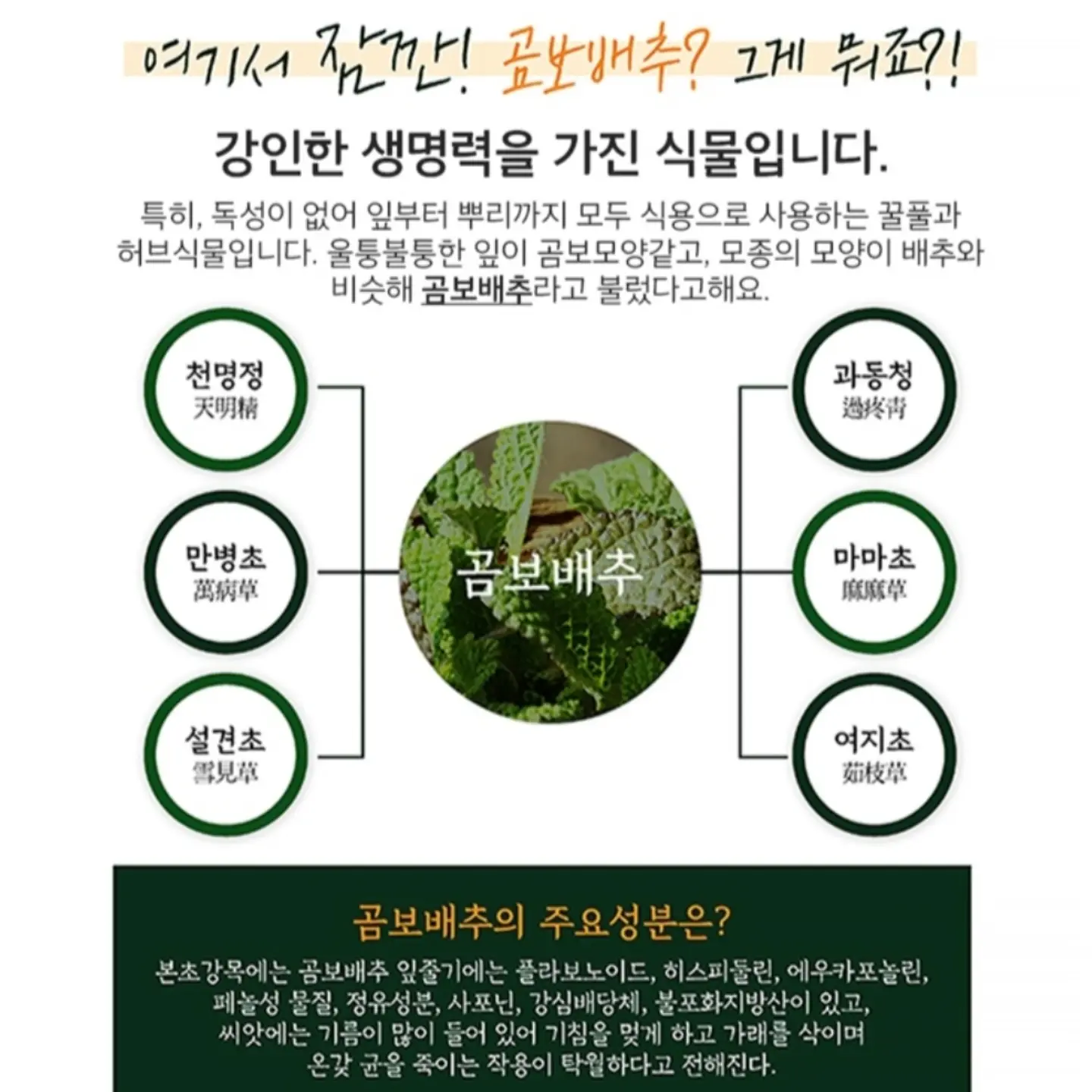 토이스토리 드로잉패드 키링 앤 캔디 2