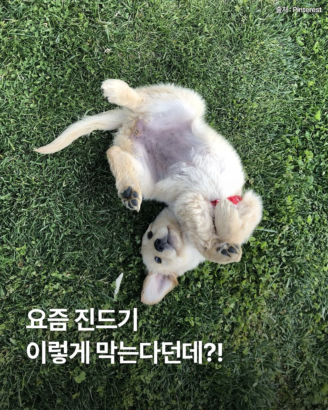 보이는 언어치료 생각이 둠칫둠칫 그림시리즈 1