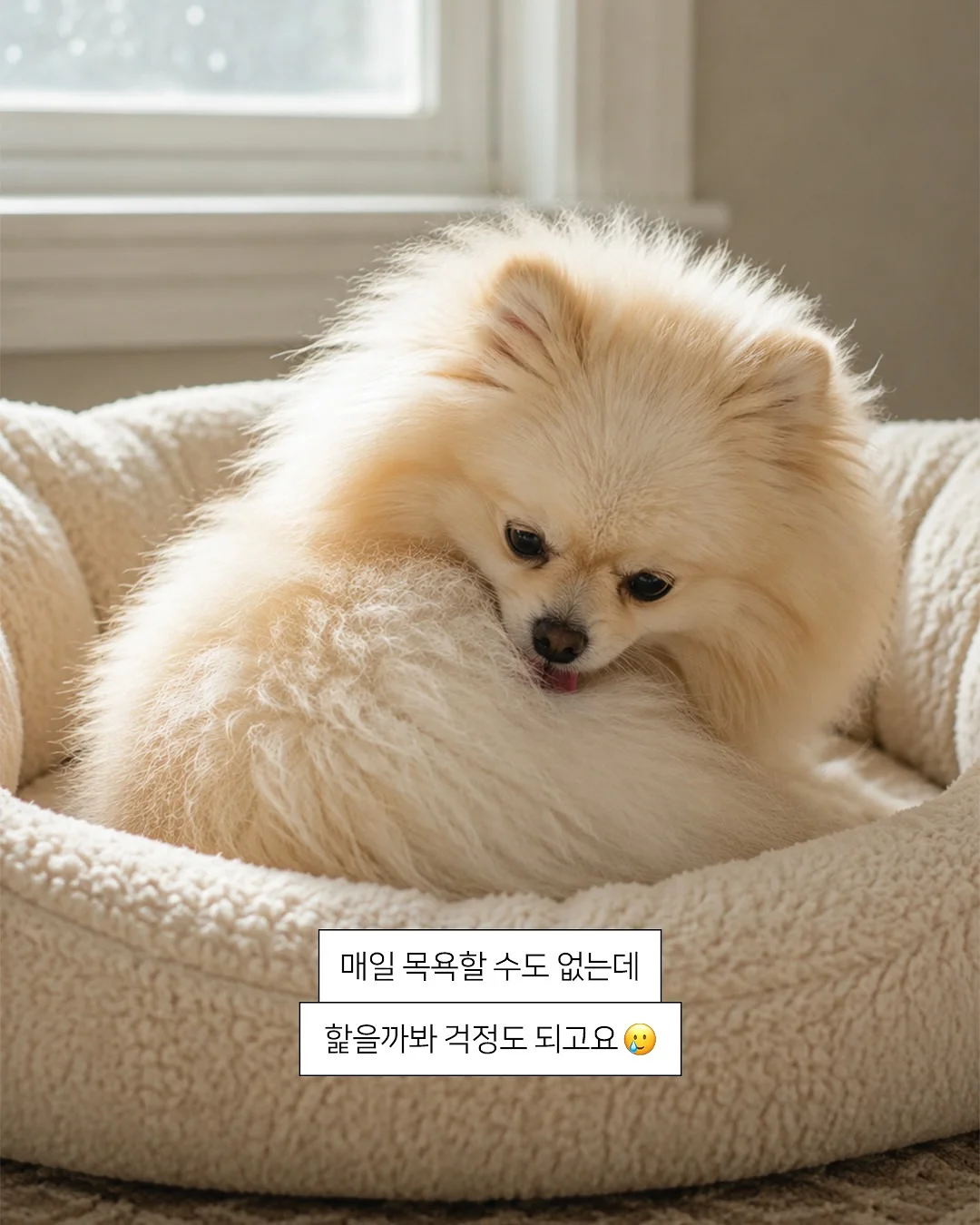 보이는 언어치료 생각이 둠칫둠칫 그림시리즈 3