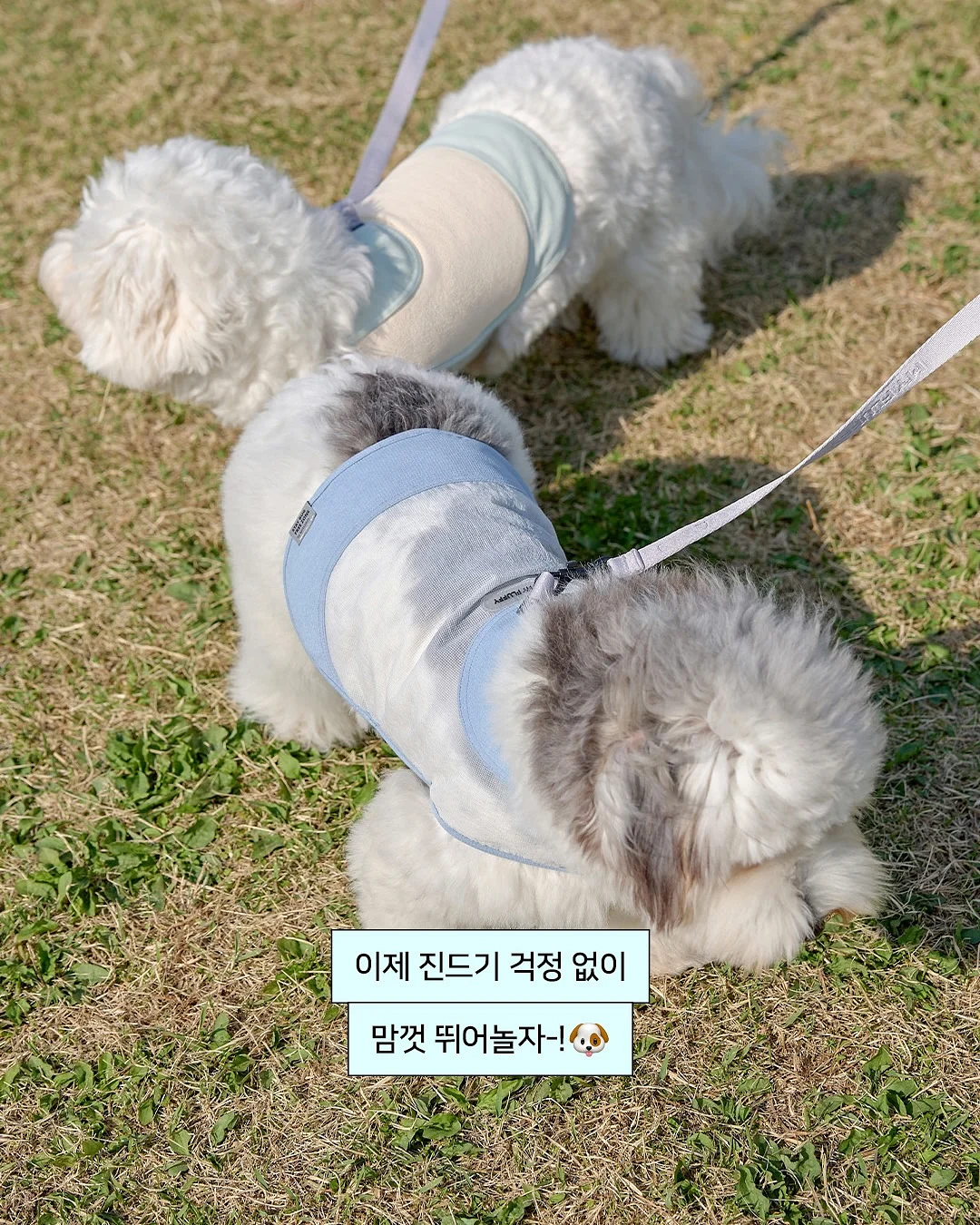 보이는 언어치료 생각이 둠칫둠칫 그림시리즈 6