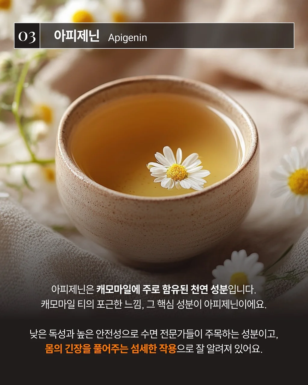 내영혼의 치킨스프, 브로콜리스프, 당근스프 6