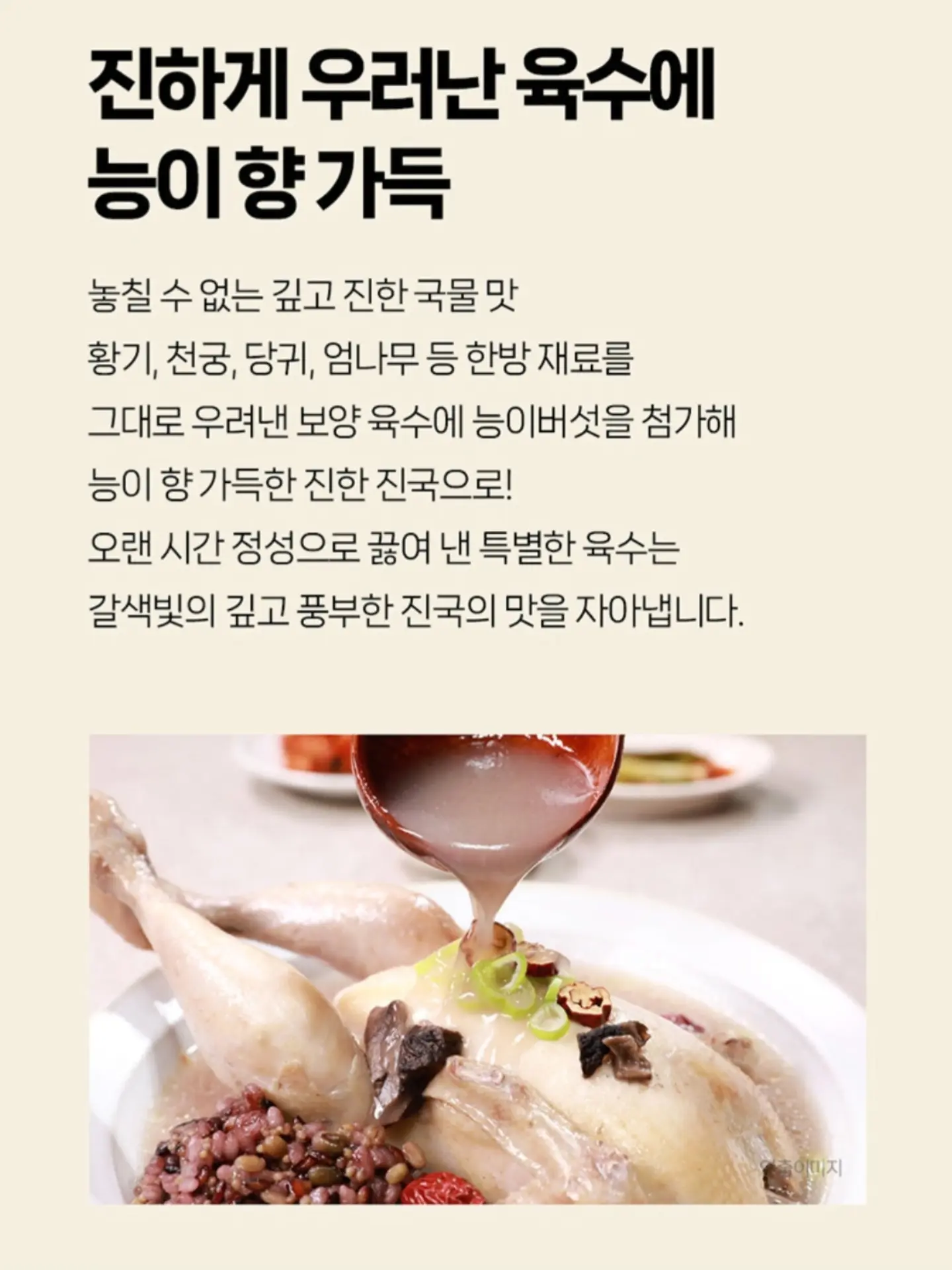 부케 레진 무드등 세트 10