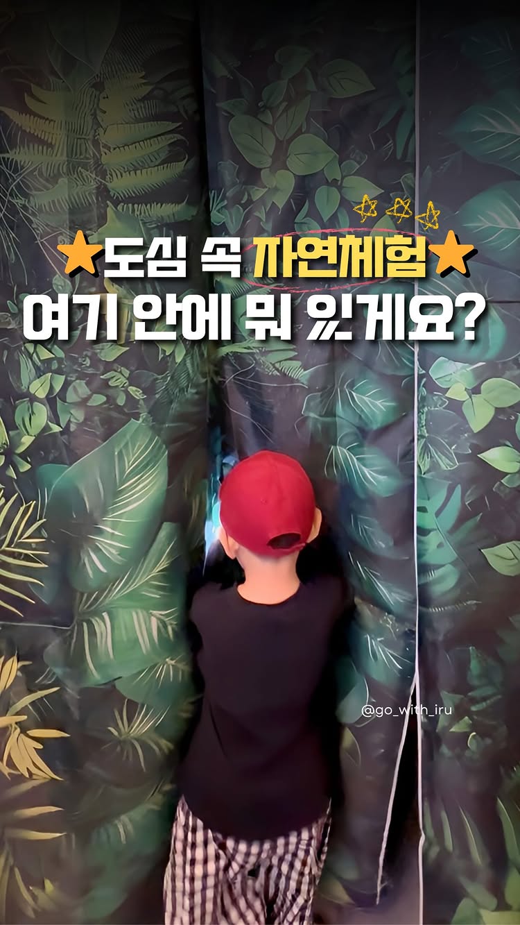 고양이 숨숨집