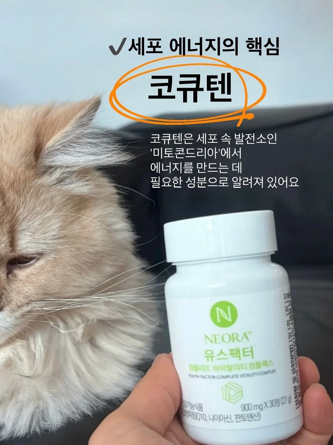 입술 라인 컬러 보완 시술 10