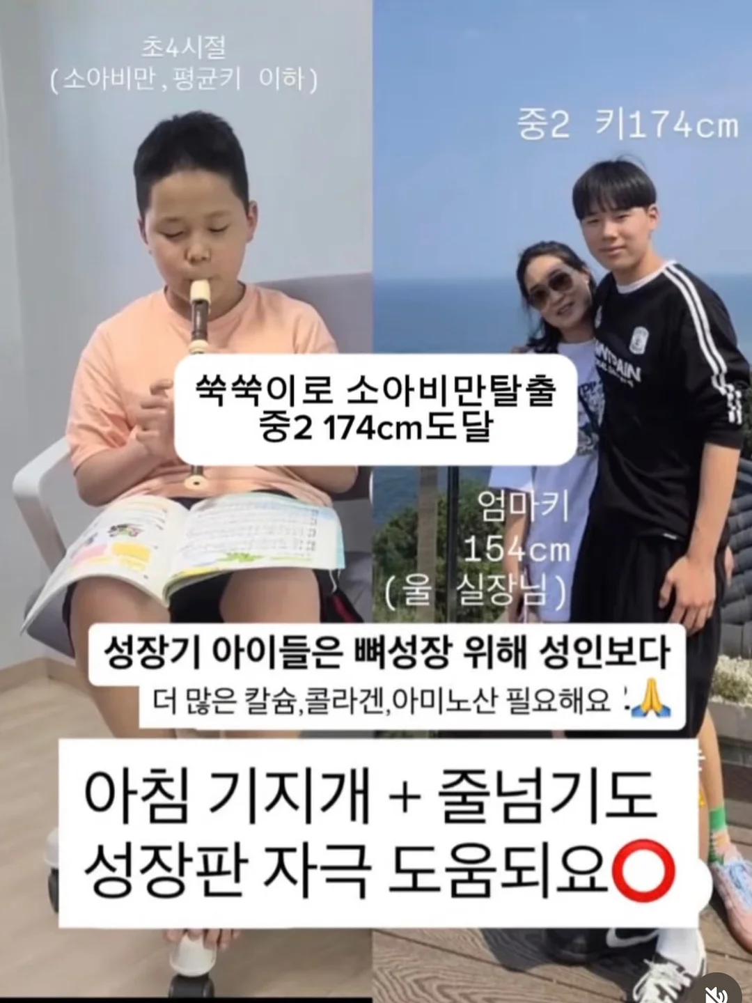 쿨코튼빕 12