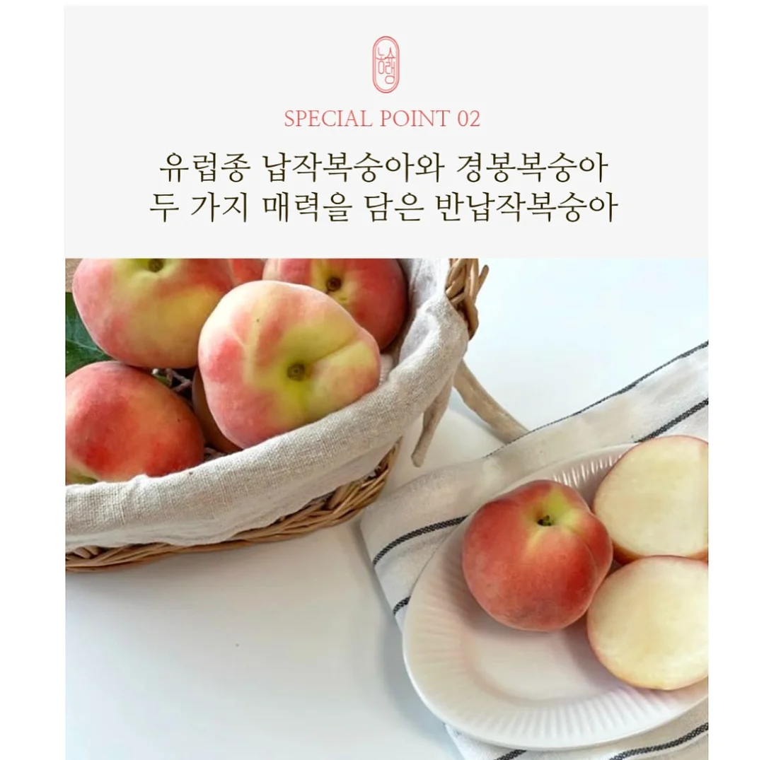 마슈마로인형 4
