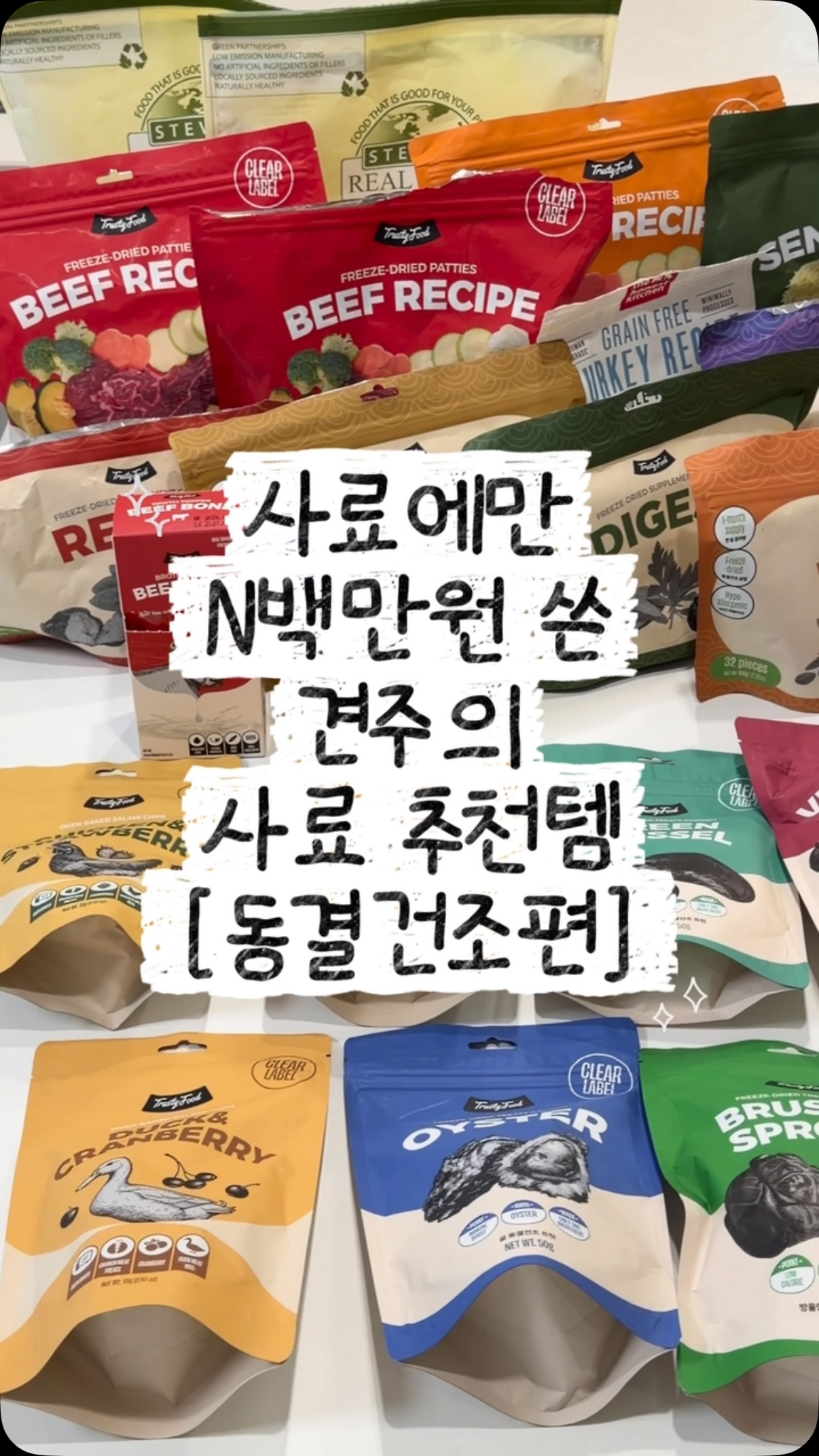 당일케이크