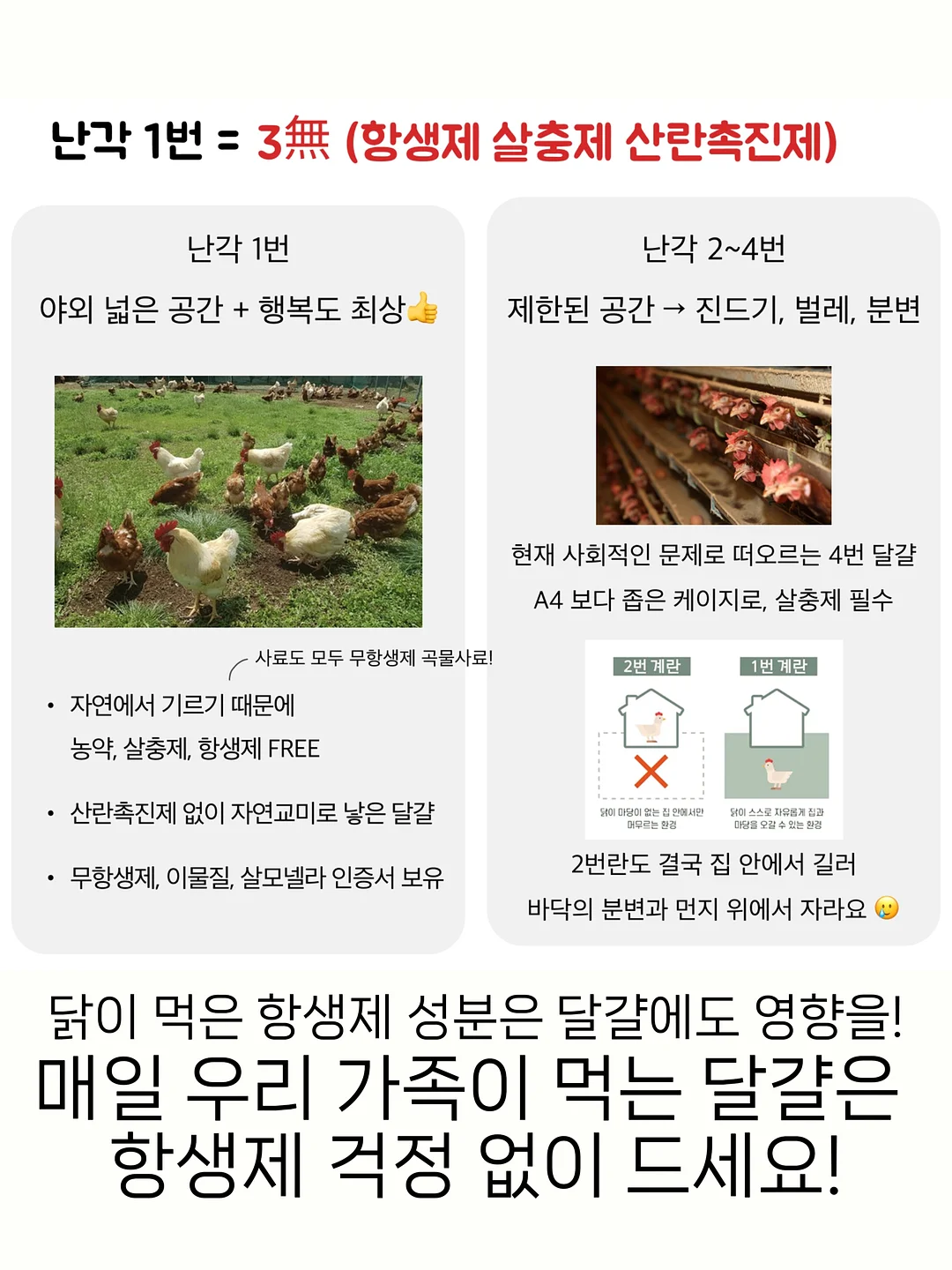 키즈마일 기질검사 7