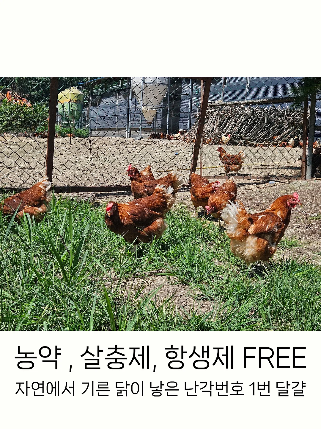키즈마일 기질검사 8