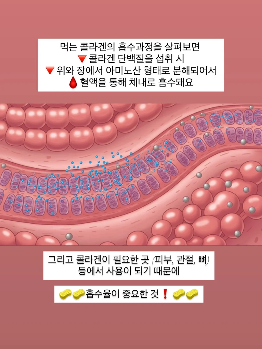 단호박 에그 푸딩 13