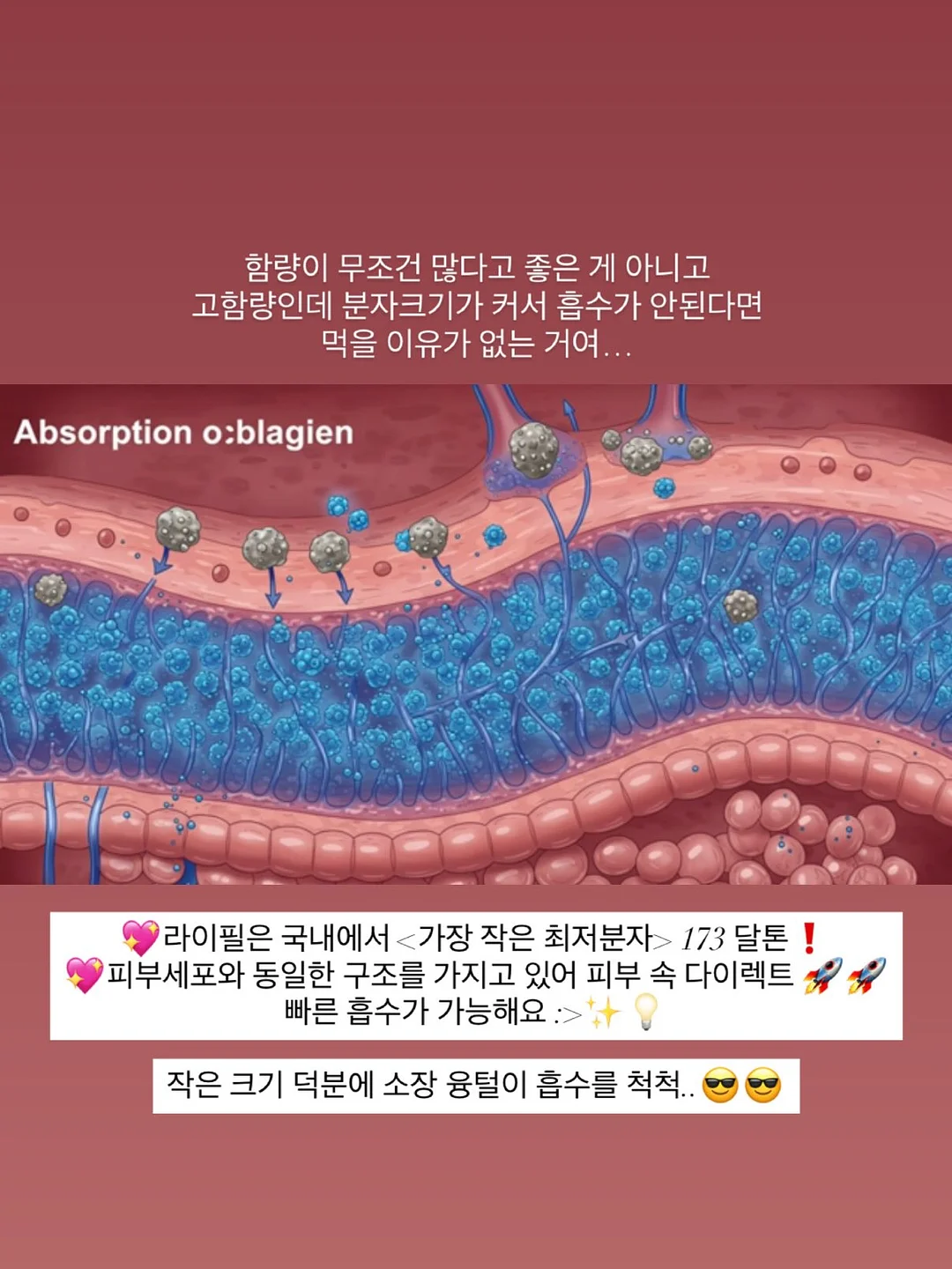 단호박 에그 푸딩 14