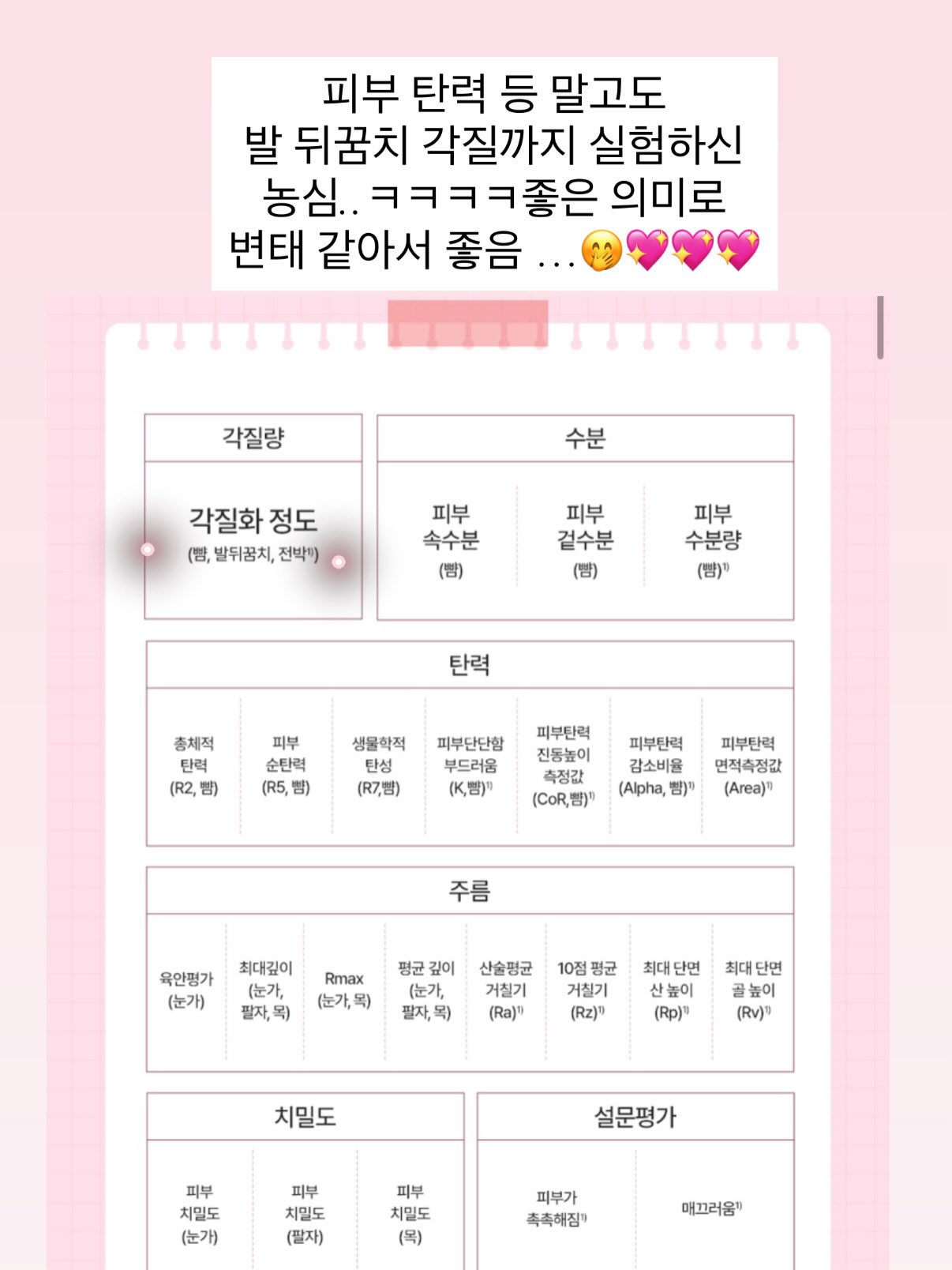얼룩 제거기 19