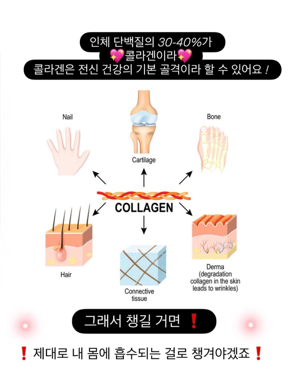 얼룩 제거기 20